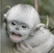 BabyVoldemorts