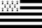 binouze29