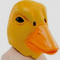 Canard_Suspect