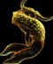 ceadeus92