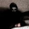 DoctorKODI