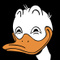 duckrider