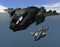 echo419pelican6