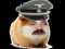 GrosIntestin13