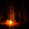 Khey-des-forets