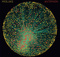 Lord_of_rings1
