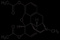 NaixeIa