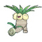 NoadkokoKanto