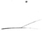 Olim_