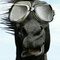 PoneyFurieux