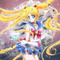 sailornic