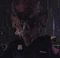 Scolopax_R