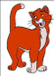 SpermeOrange