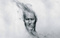 the_birdman