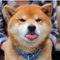 Tonfan-