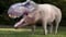 Tyrannoporc