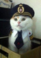 Ultracat