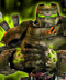 Wreck1