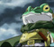 zoro955
