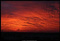 -RedSky