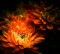 _Dark-Death_