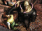 7Nemesis64