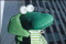 Albert_le_vert