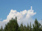 ADN-