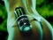 BudWeiiser__