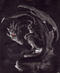 black__dragons