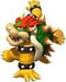 bowserrrrrdu21