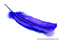 BlueFeather