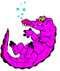 Crocodou