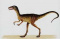 Compsognathus's Profile, Gamesvideo.com