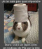 Cay_Mon_Lapin