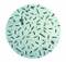 Clostridia