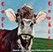 Captain_Cowkill