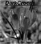 DarkCrocus