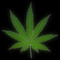 Dono-