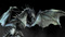 dragonbleu619