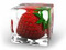 Fraise-rouge