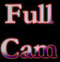 FullCam