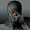 gray_fox_mgs0
