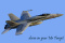 GrummanF-14