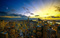 ilovemanhattan