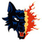 J_SAKIC