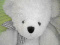 Loulou2345