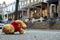 La_rue_meurt
