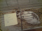 lamasticot72-