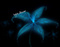 light_flower